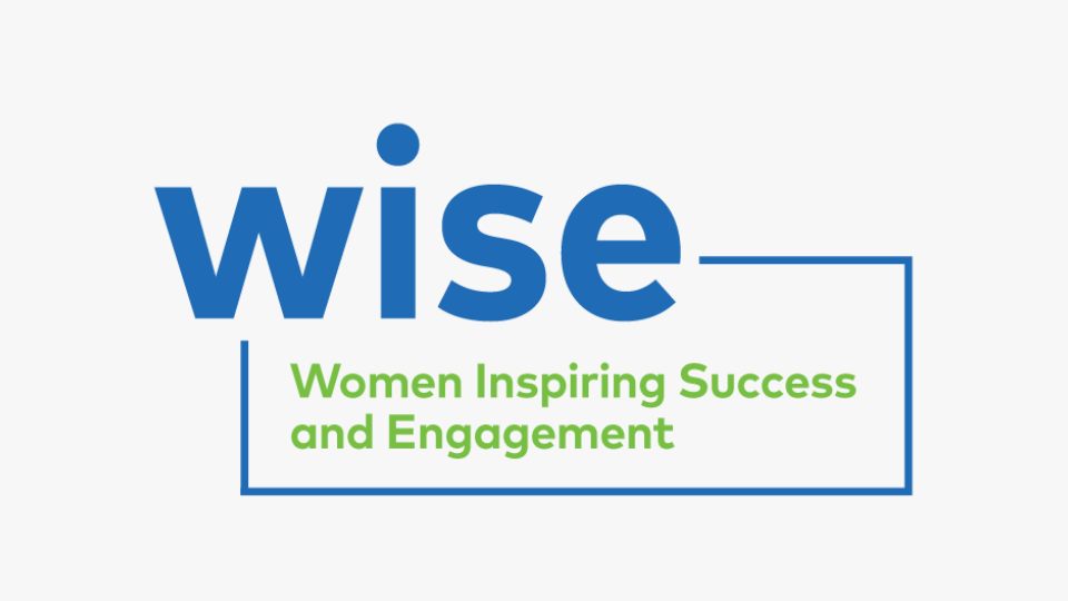 WISE ERG Logo