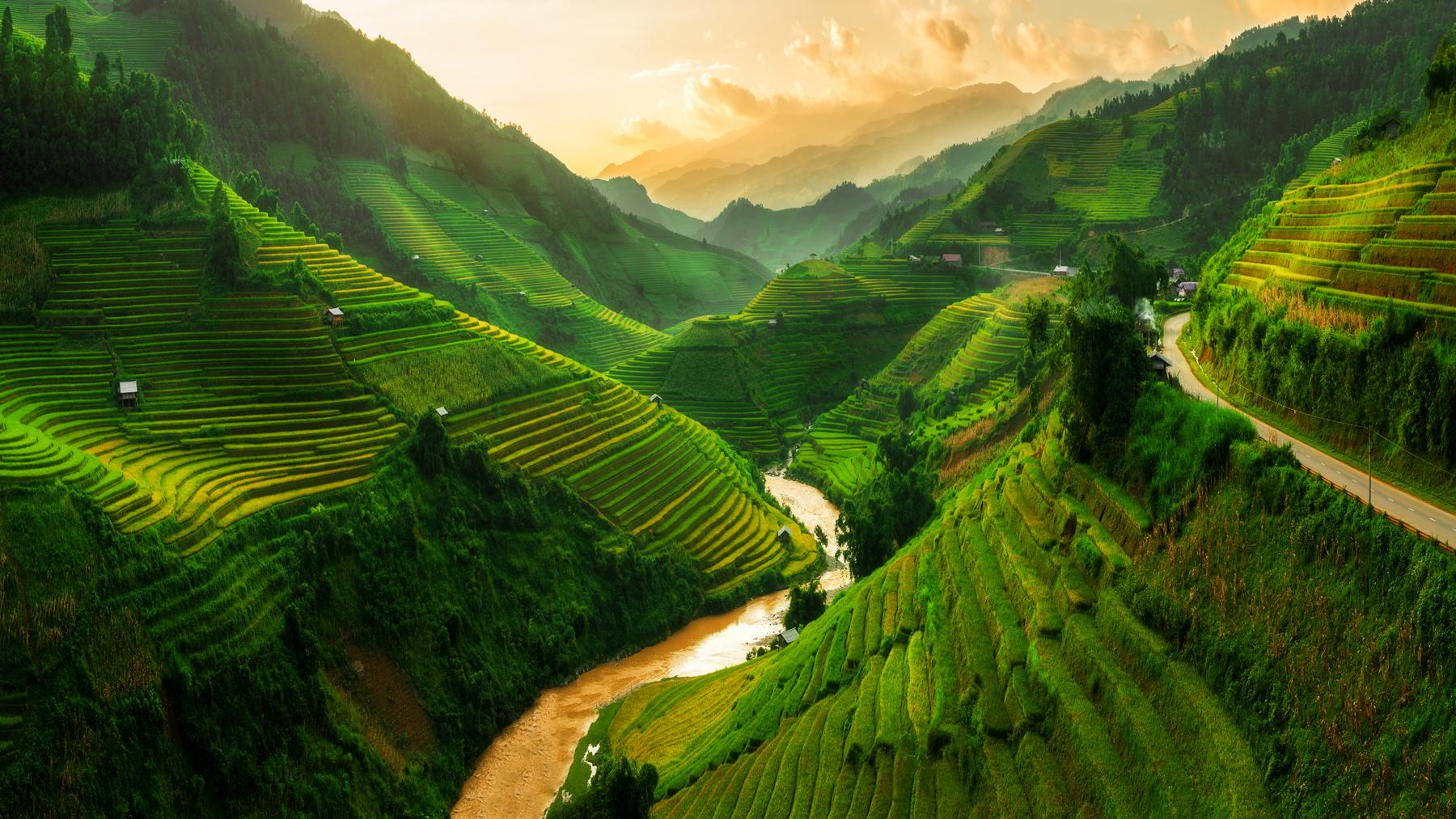 Is a Perfect Storm Brewing? Opportunities and Trends in Emerging Markets