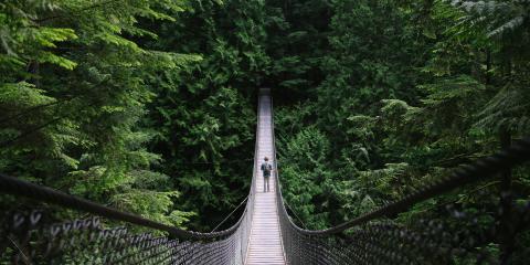 Person walking over a bridge in a jungle